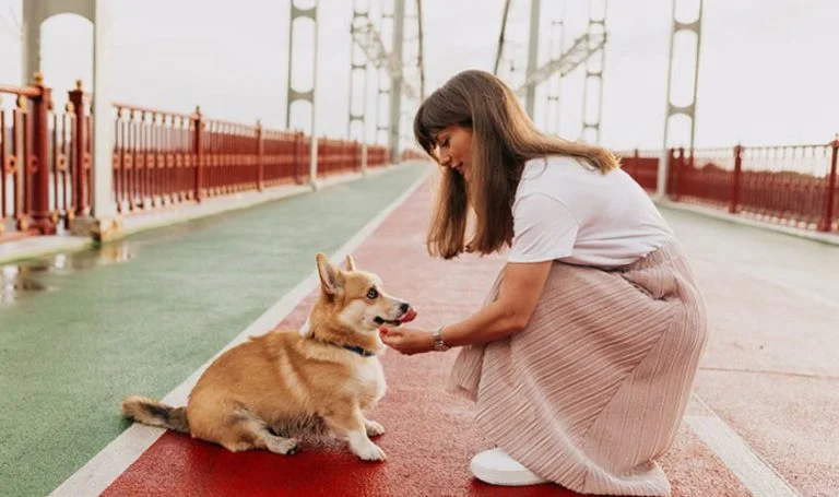 Puppy Caring Tips For New Born Puppy